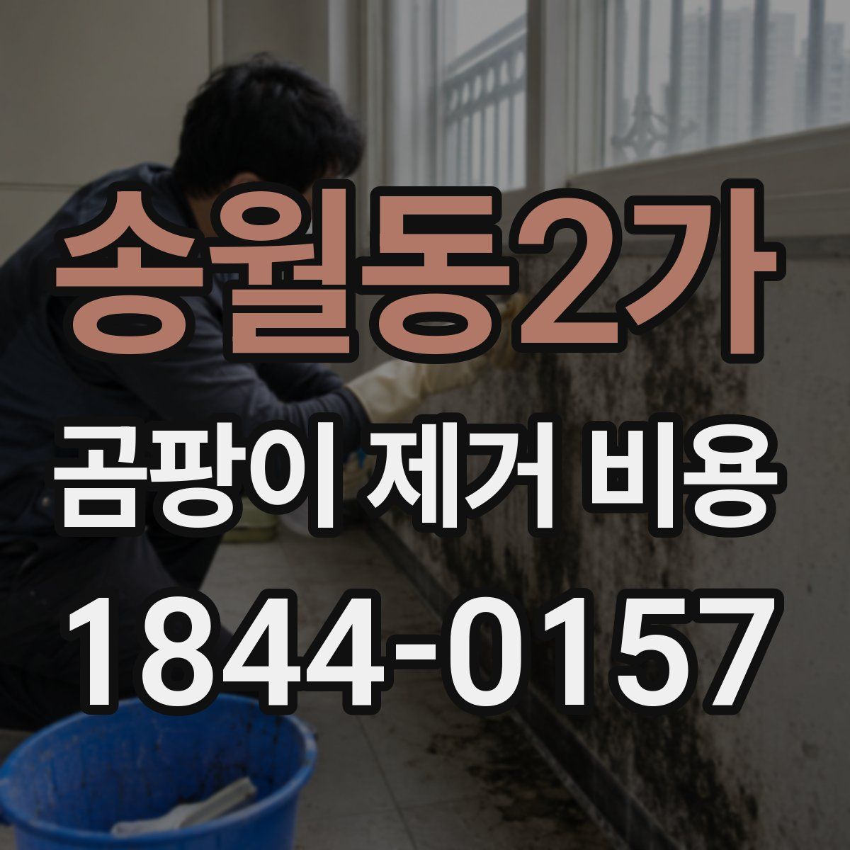 송월동2가 곰팡이 제거 비용