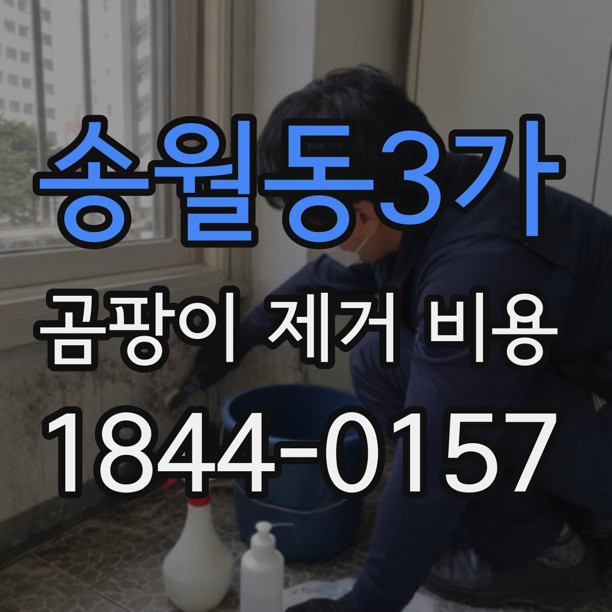 송월동3가 곰팡이 제거 비용
