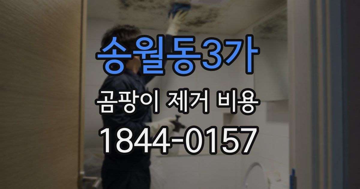 송월동3가 곰팡이 제거 비용