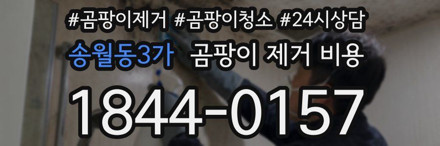 송월동3가 곰팡이 제거 비용