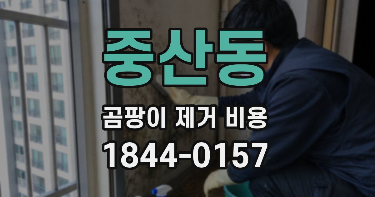 중산동 곰팡이 제거 비용