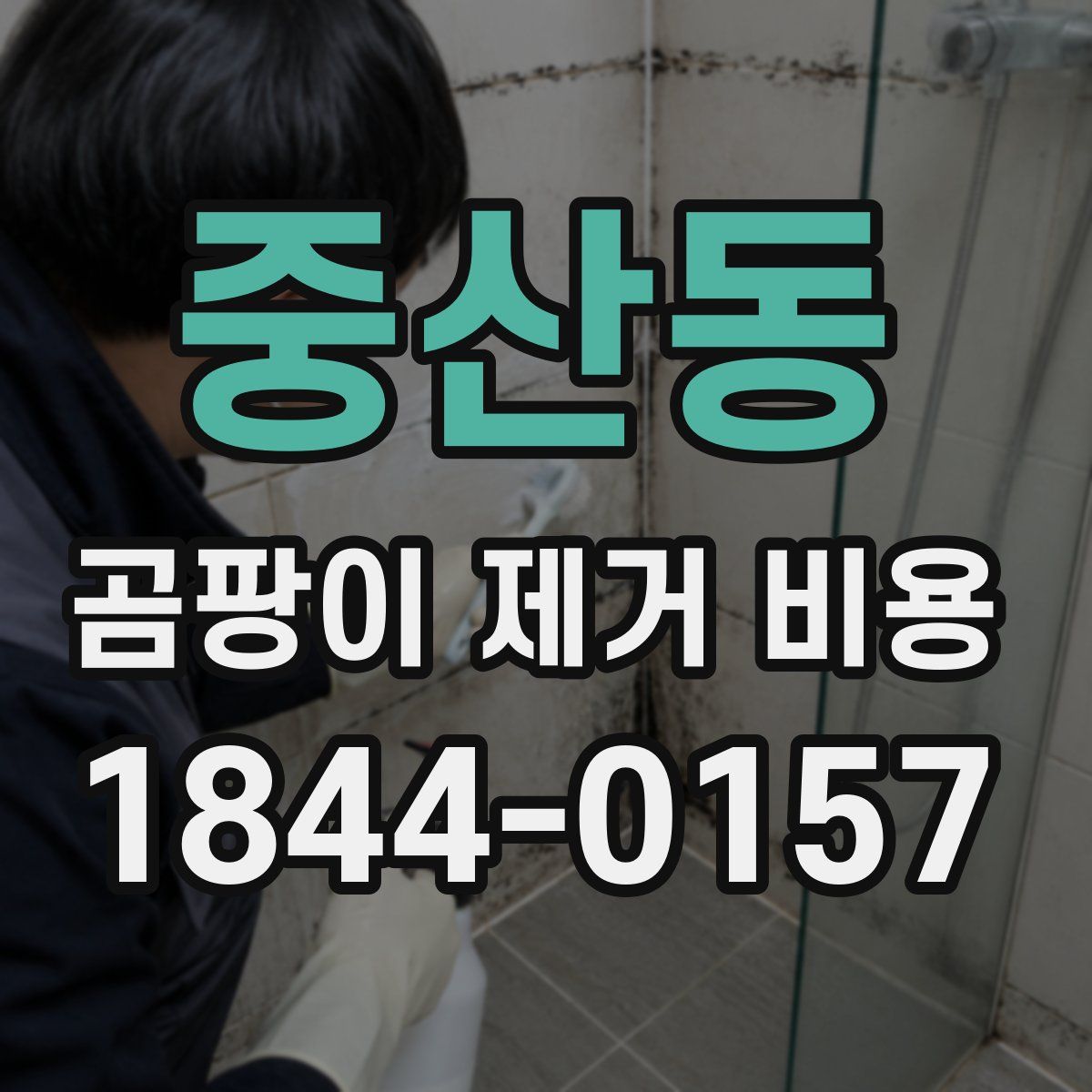 중산동 곰팡이 제거 비용