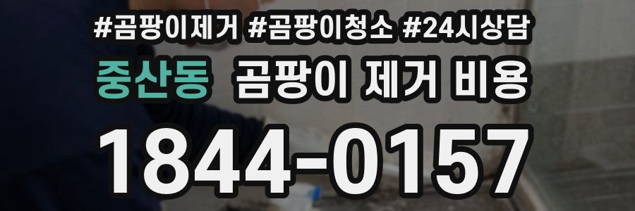 중산동 곰팡이 제거 비용