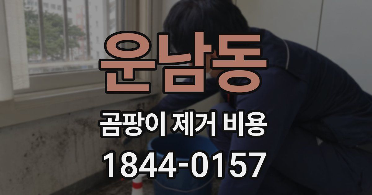 운남동 곰팡이 제거 비용