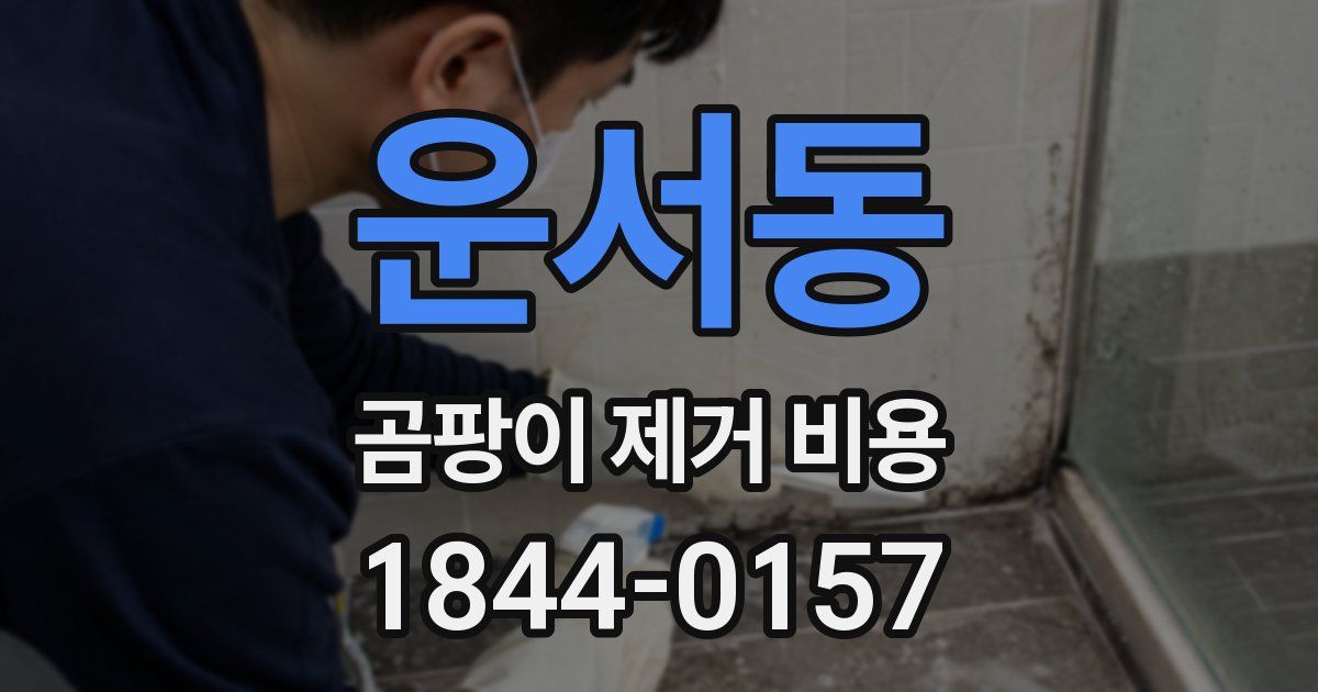 운서동 곰팡이 제거 비용