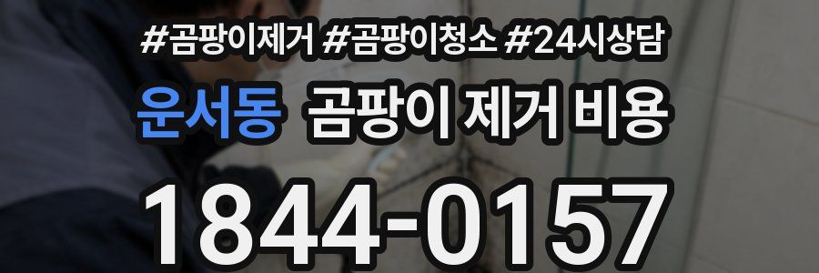 운서동 곰팡이 제거 비용