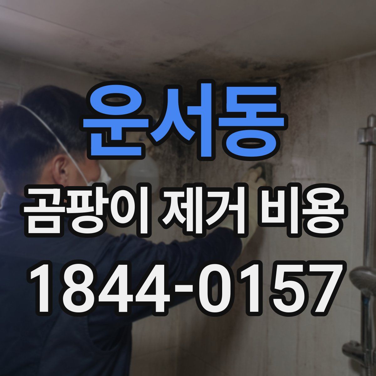 운서동 곰팡이 제거 비용