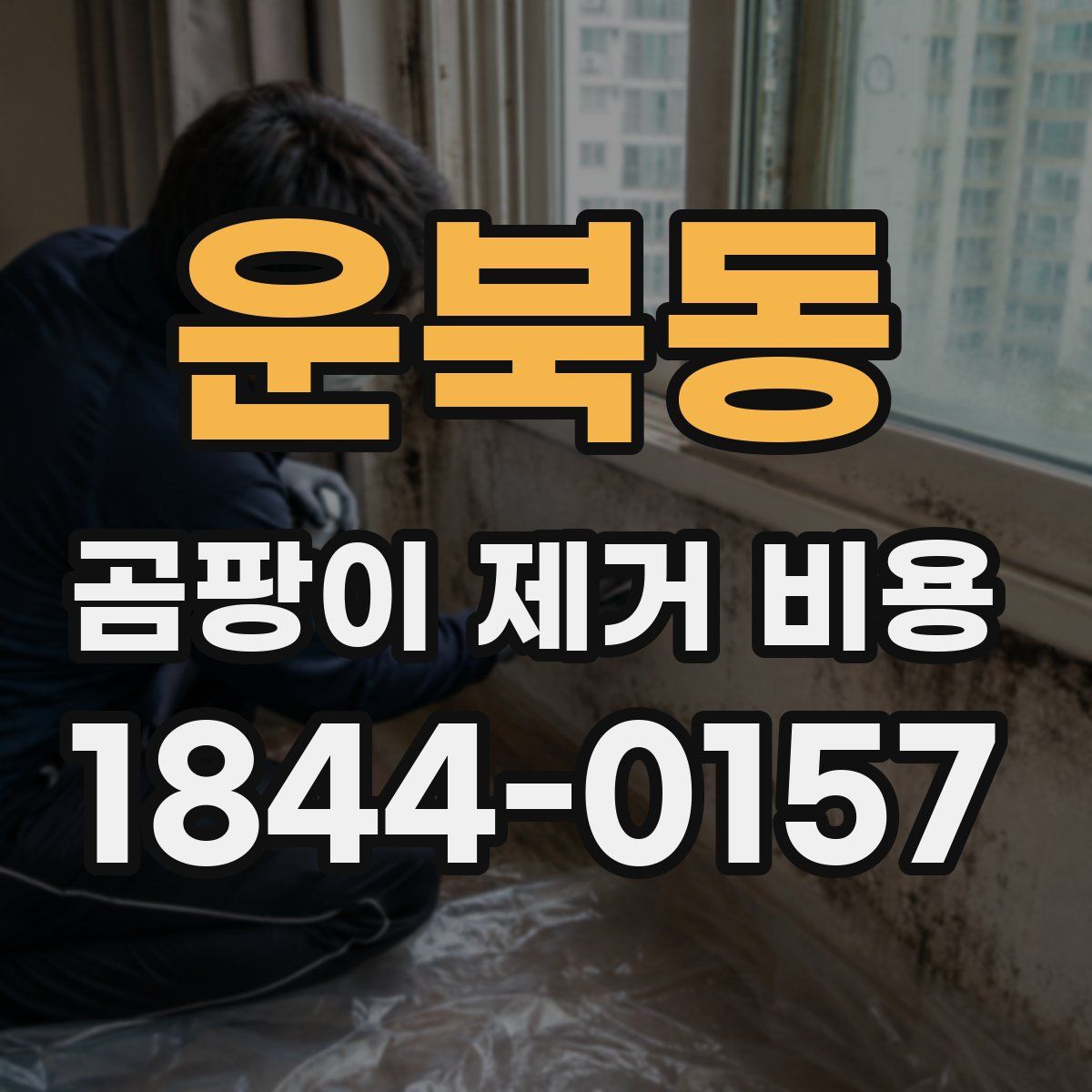 운북동 곰팡이 제거 비용
