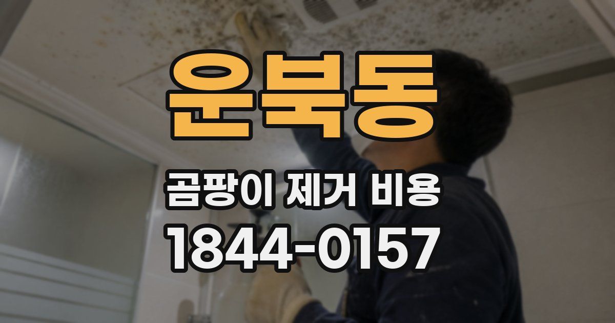 운북동 곰팡이 제거 비용