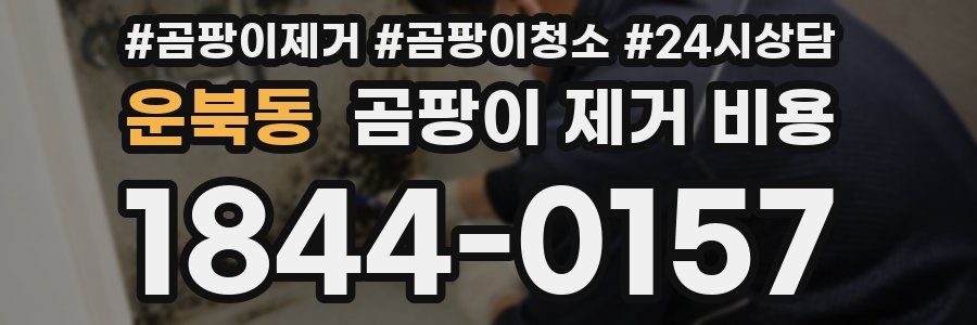 운북동 곰팡이 제거 비용