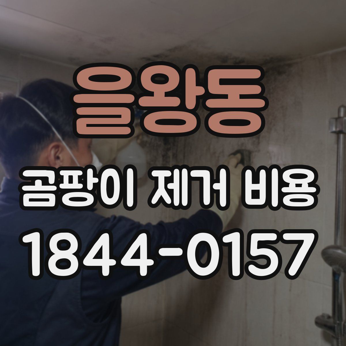 을왕동 곰팡이 제거 비용