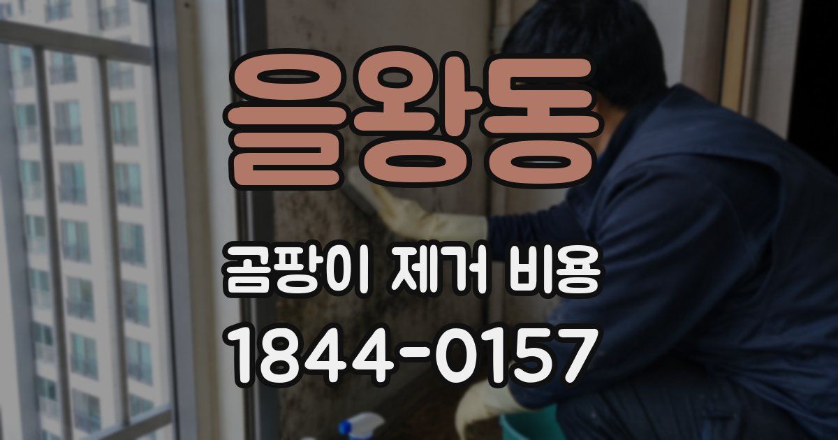 을왕동 곰팡이 제거 비용