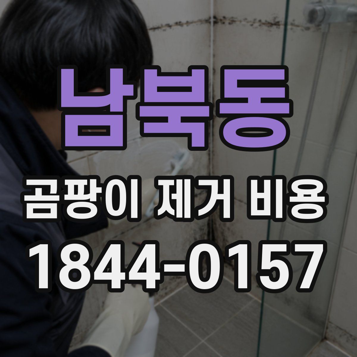 남북동 곰팡이 제거 비용