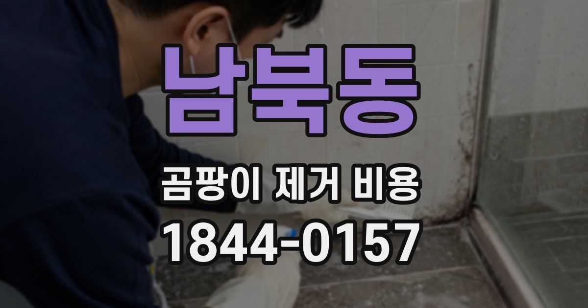 남북동 곰팡이 제거 비용
