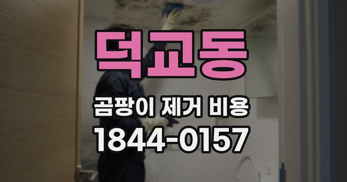 덕교동 곰팡이 제거 비용