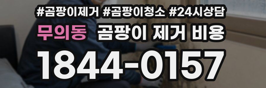 무의동 곰팡이 제거 비용