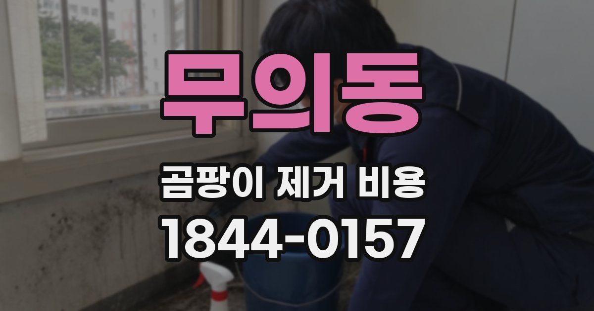 무의동 곰팡이 제거 비용