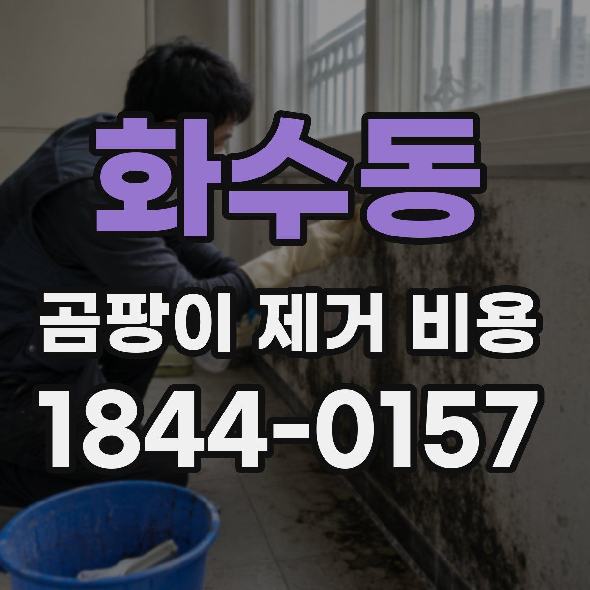 화수동 곰팡이 제거 비용