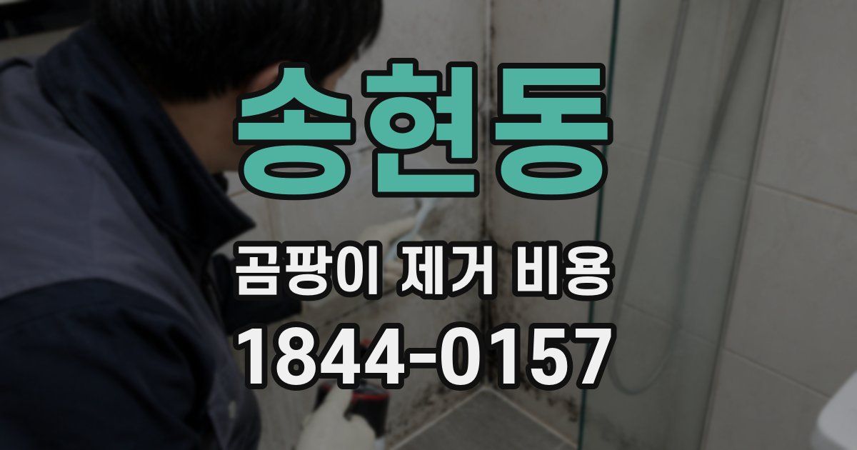 송현동 곰팡이 제거 비용
