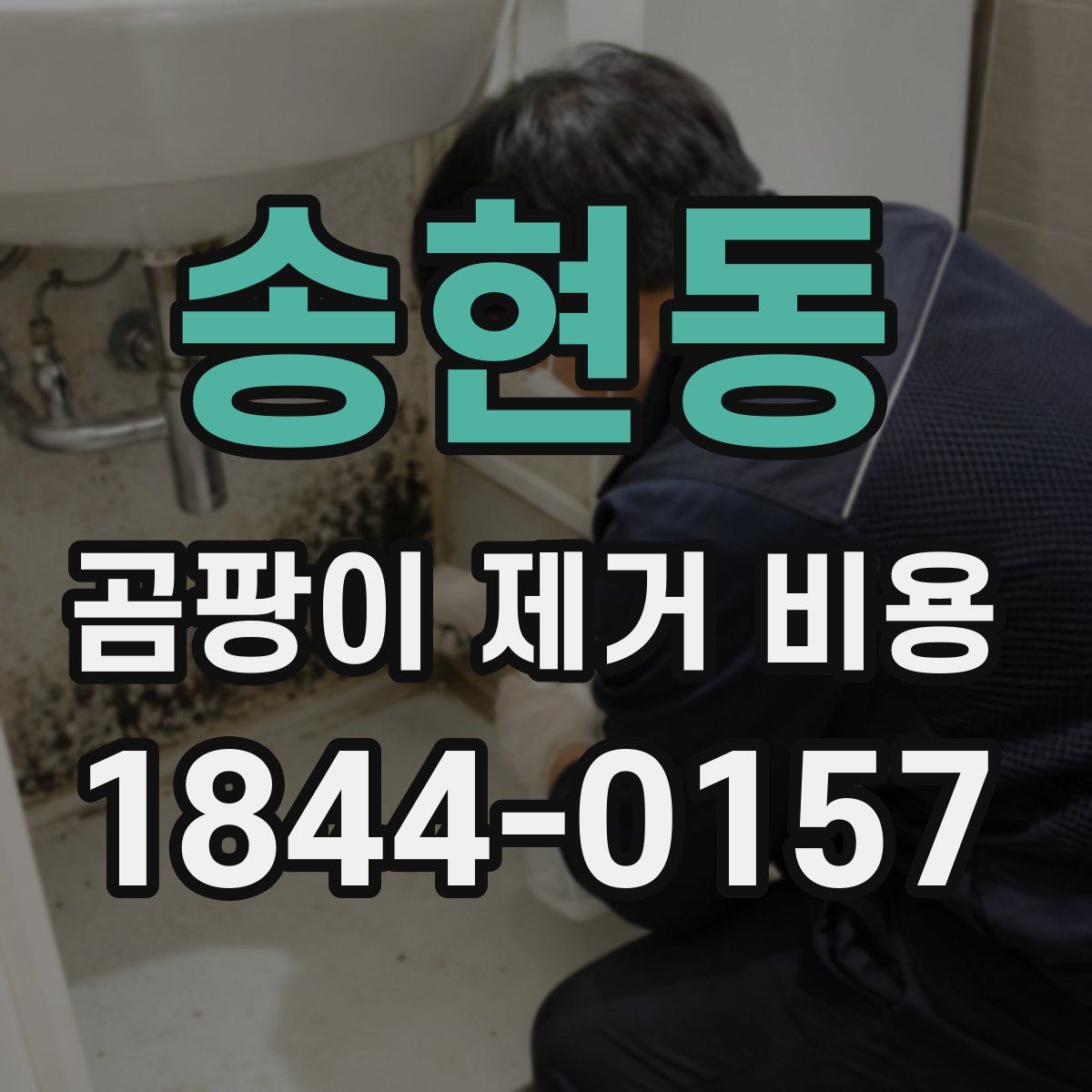 송현동 곰팡이 제거 비용