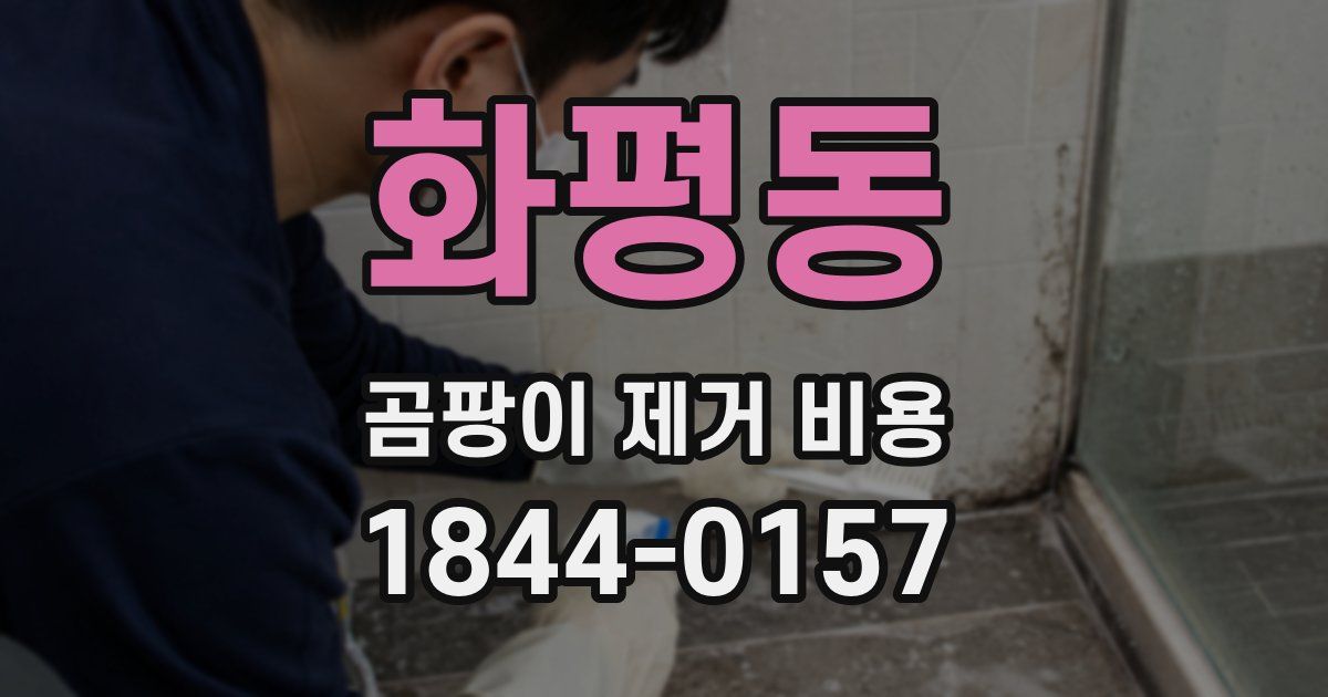 화평동 곰팡이 제거 비용