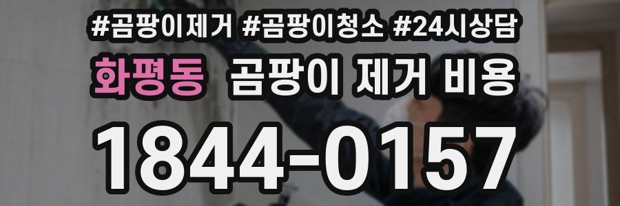 화평동 곰팡이 제거 비용