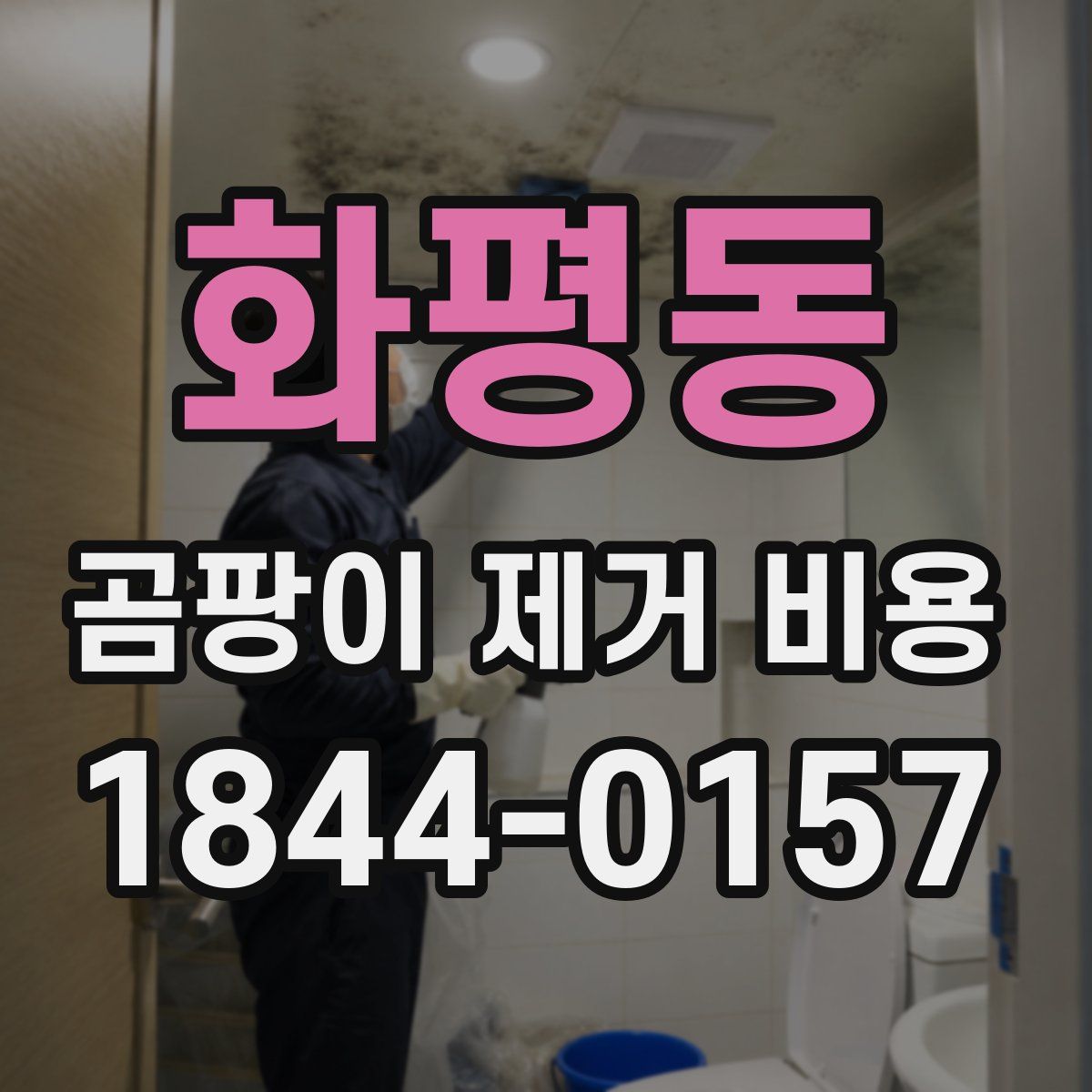 화평동 곰팡이 제거 비용