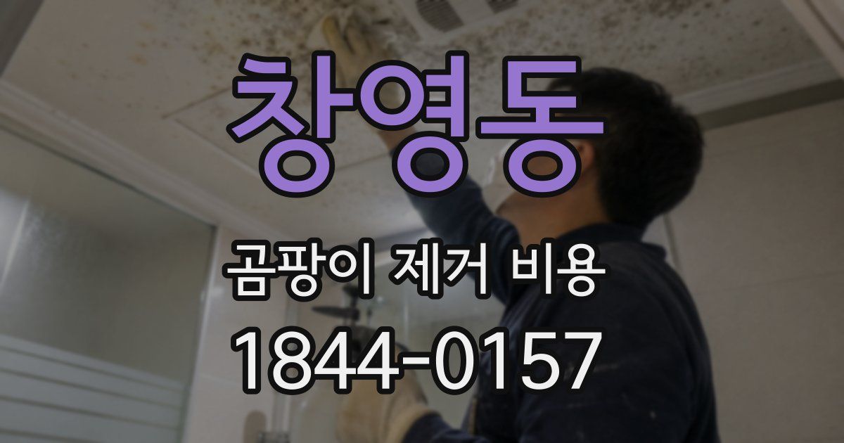 창영동 곰팡이 제거 비용
