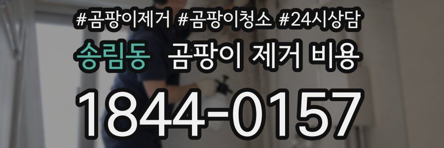 송림동 곰팡이 제거 비용