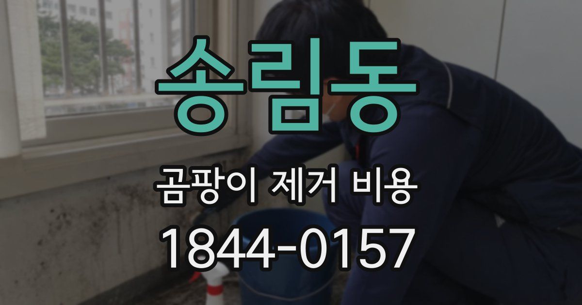 송림동 곰팡이 제거 비용