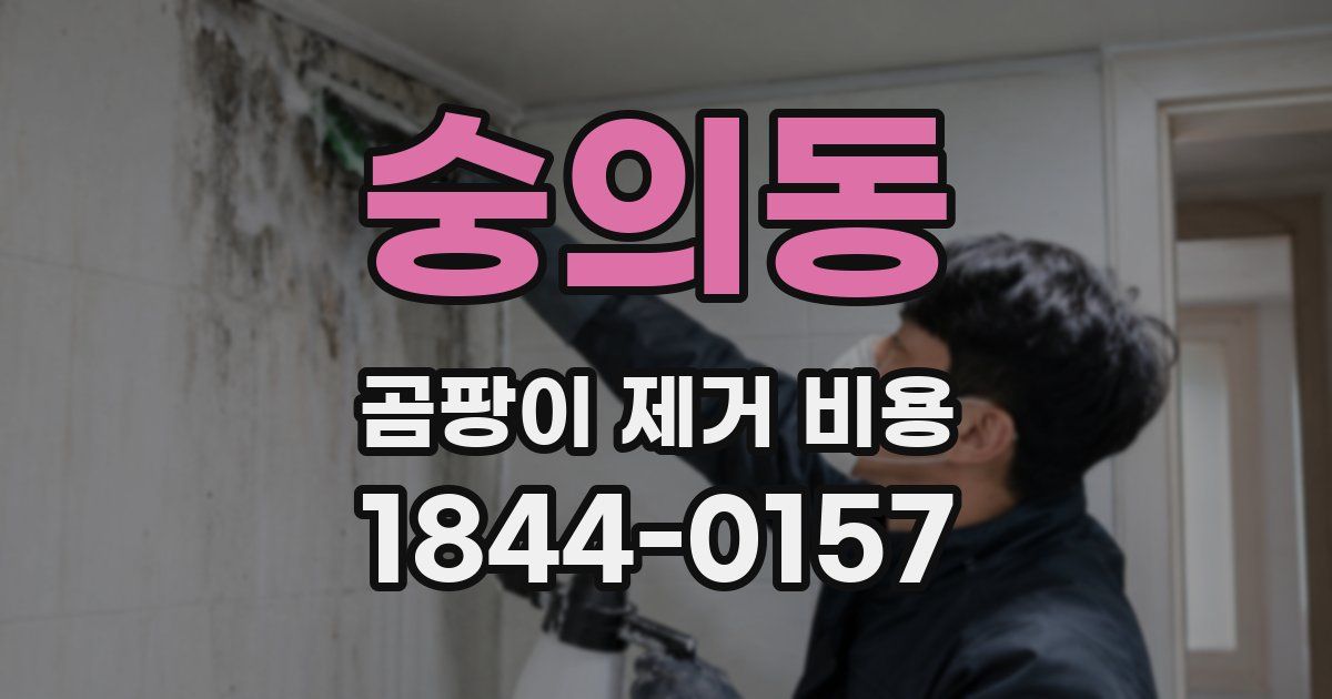 숭의동 곰팡이 제거 비용