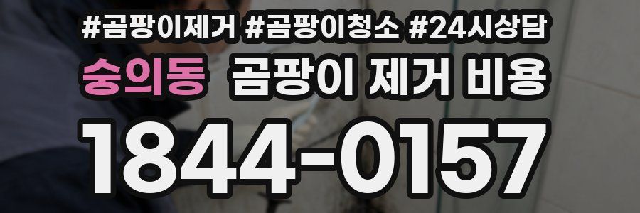 숭의동 곰팡이 제거 비용