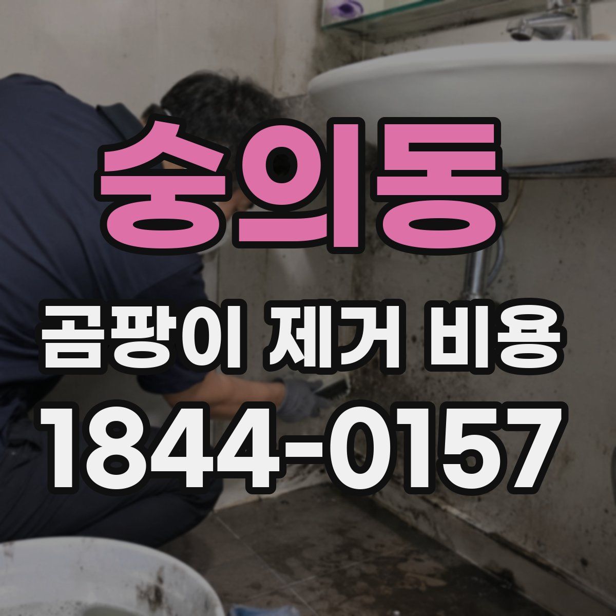 숭의동 곰팡이 제거 비용