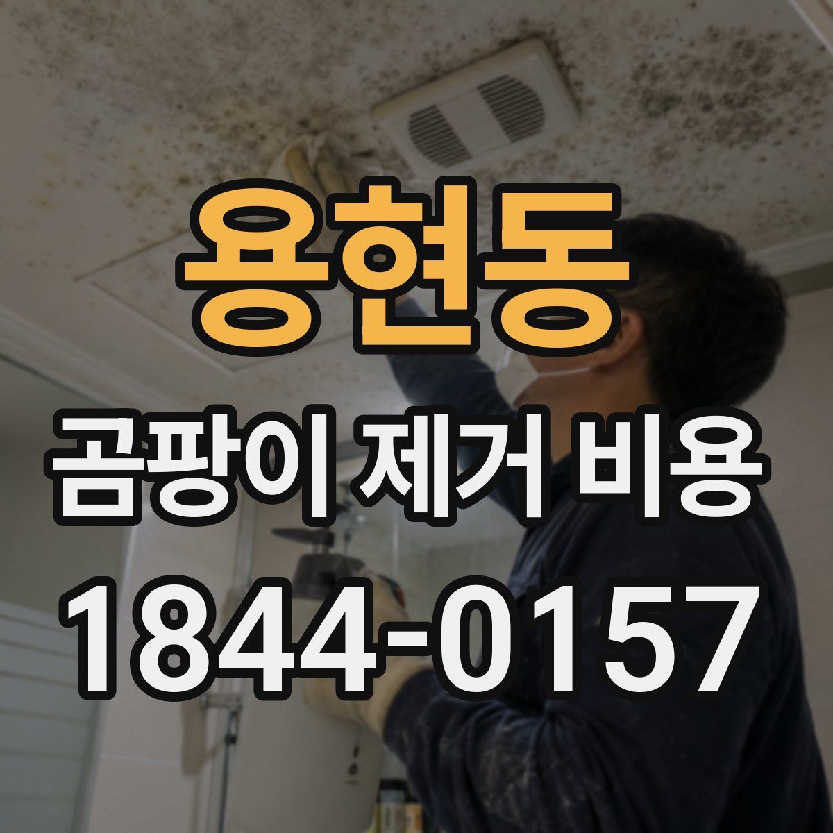 용현동 곰팡이 제거 비용