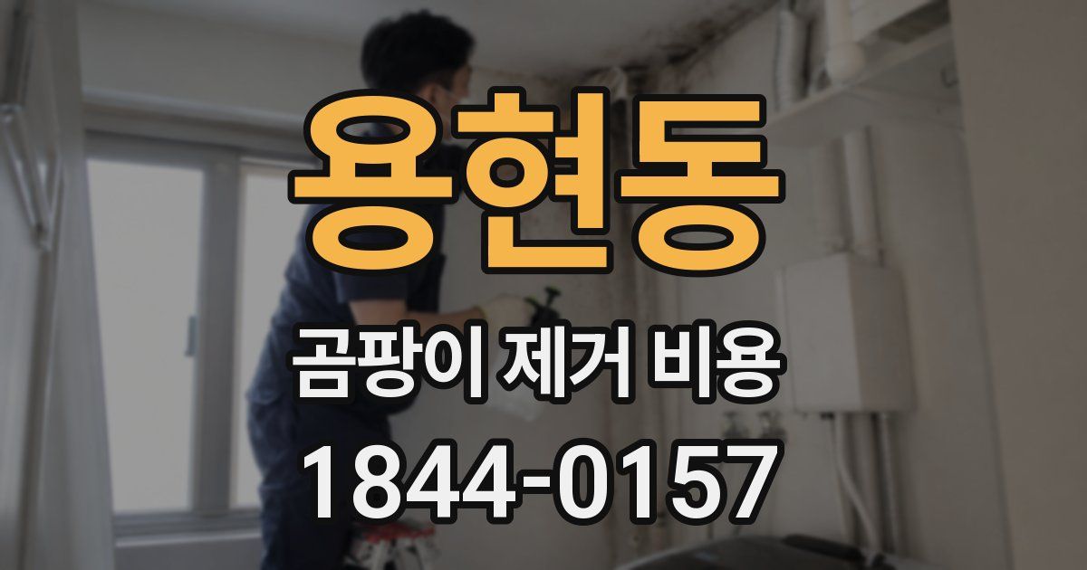 용현동 곰팡이 제거 비용