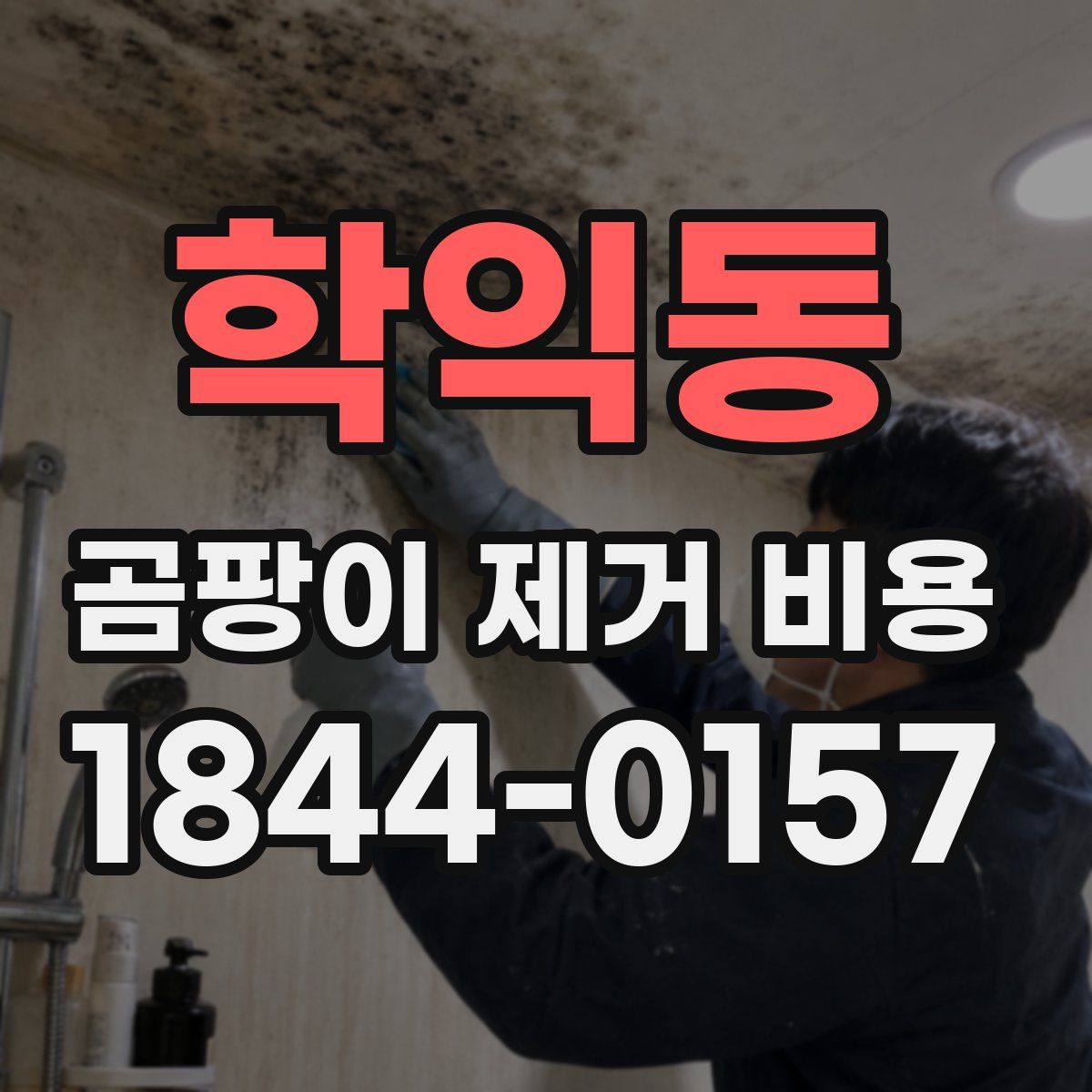 학익동 곰팡이 제거 비용