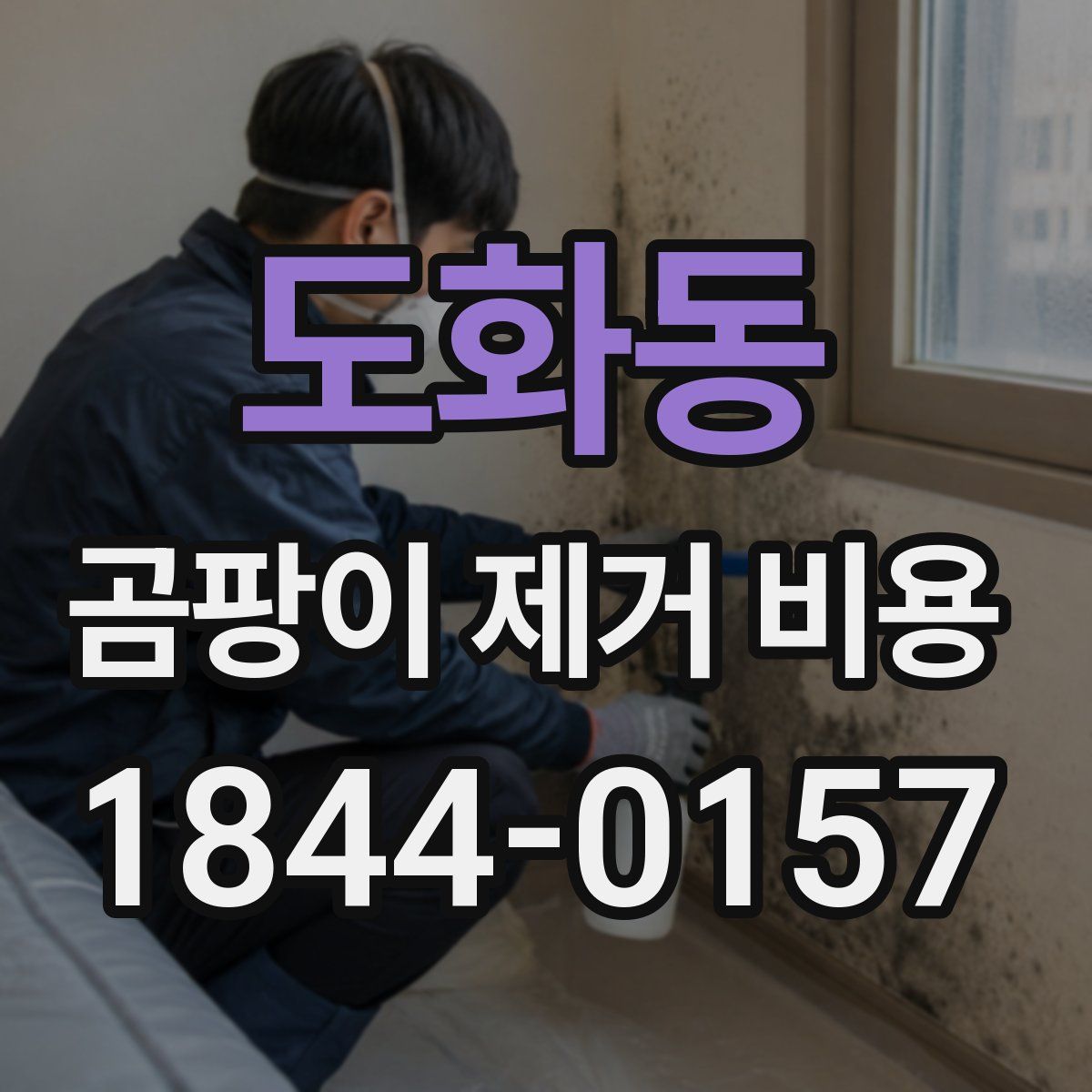 도화동 곰팡이 제거 비용