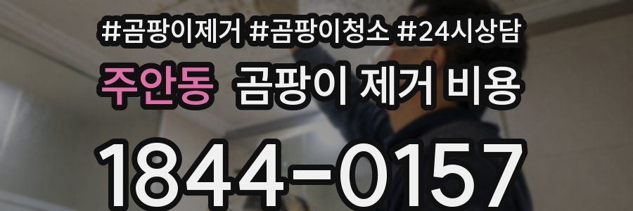 주안동 곰팡이 제거 비용