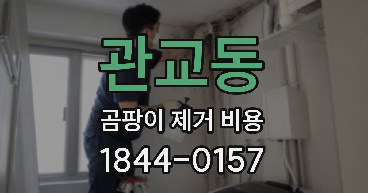 관교동 곰팡이 제거 비용
