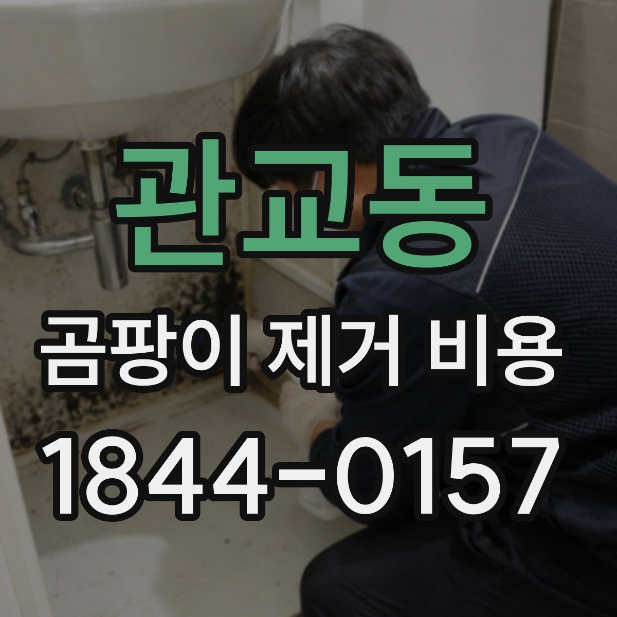 관교동 곰팡이 제거 비용