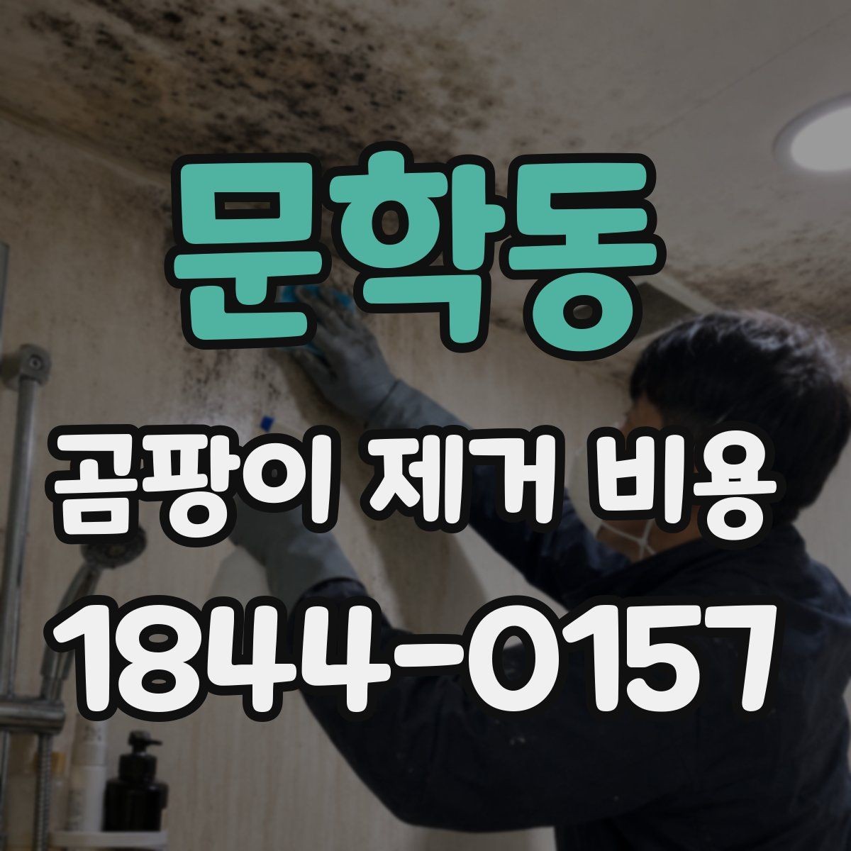 문학동 곰팡이 제거 비용 부분 시공으로 줄일 수 있는 오염 유형