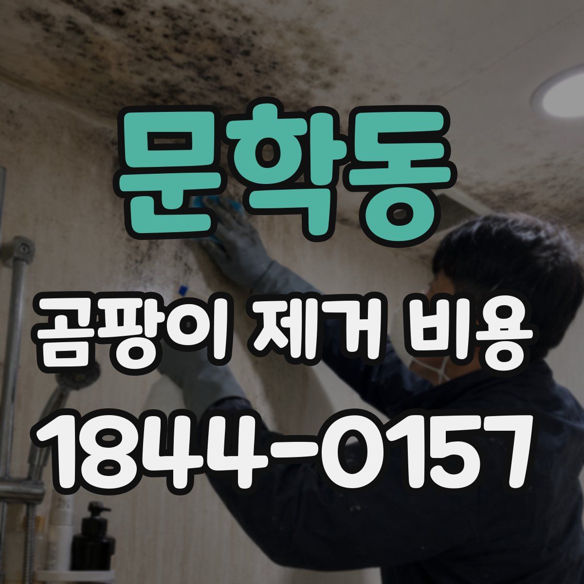 문학동 곰팡이 제거 비용
