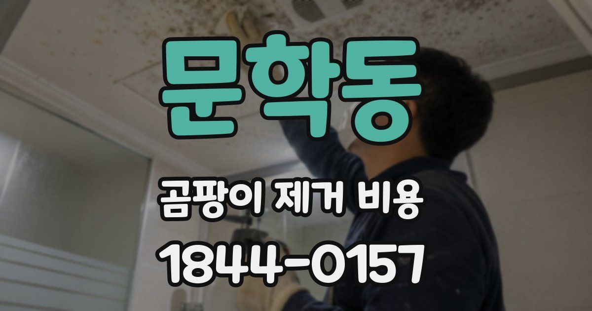 문학동 곰팡이 제거 비용