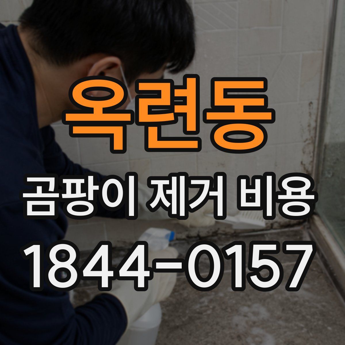 옥련동 곰팡이 제거 비용