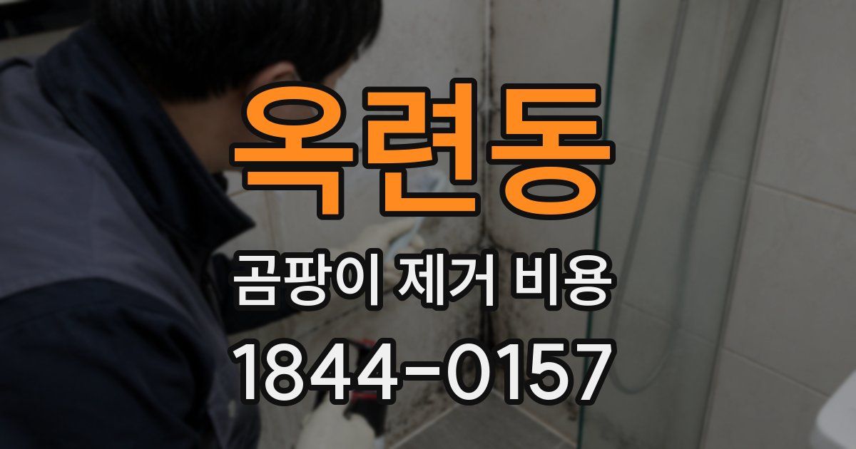 옥련동 곰팡이 제거 비용