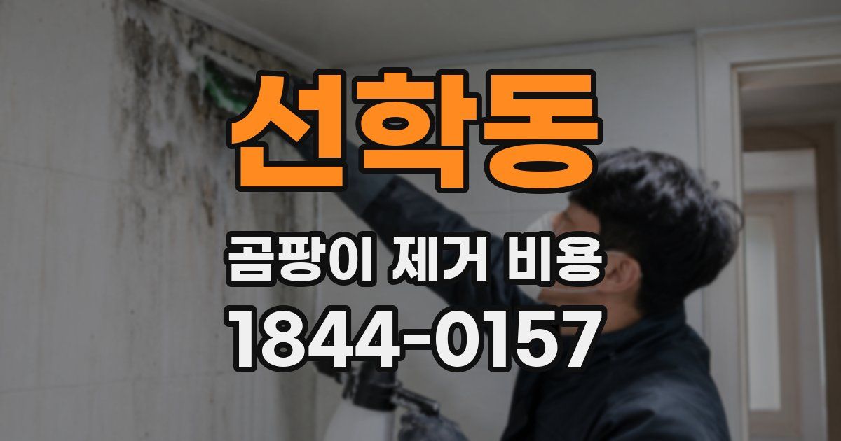 선학동 곰팡이 제거 비용