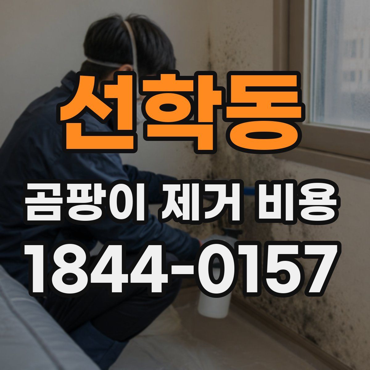 선학동 곰팡이 제거 비용