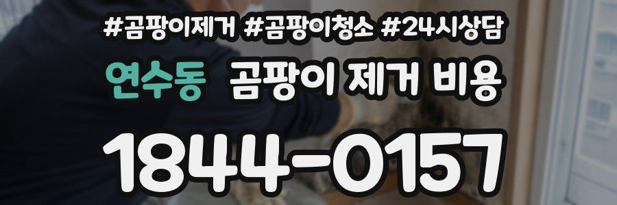 연수동 곰팡이 제거 비용