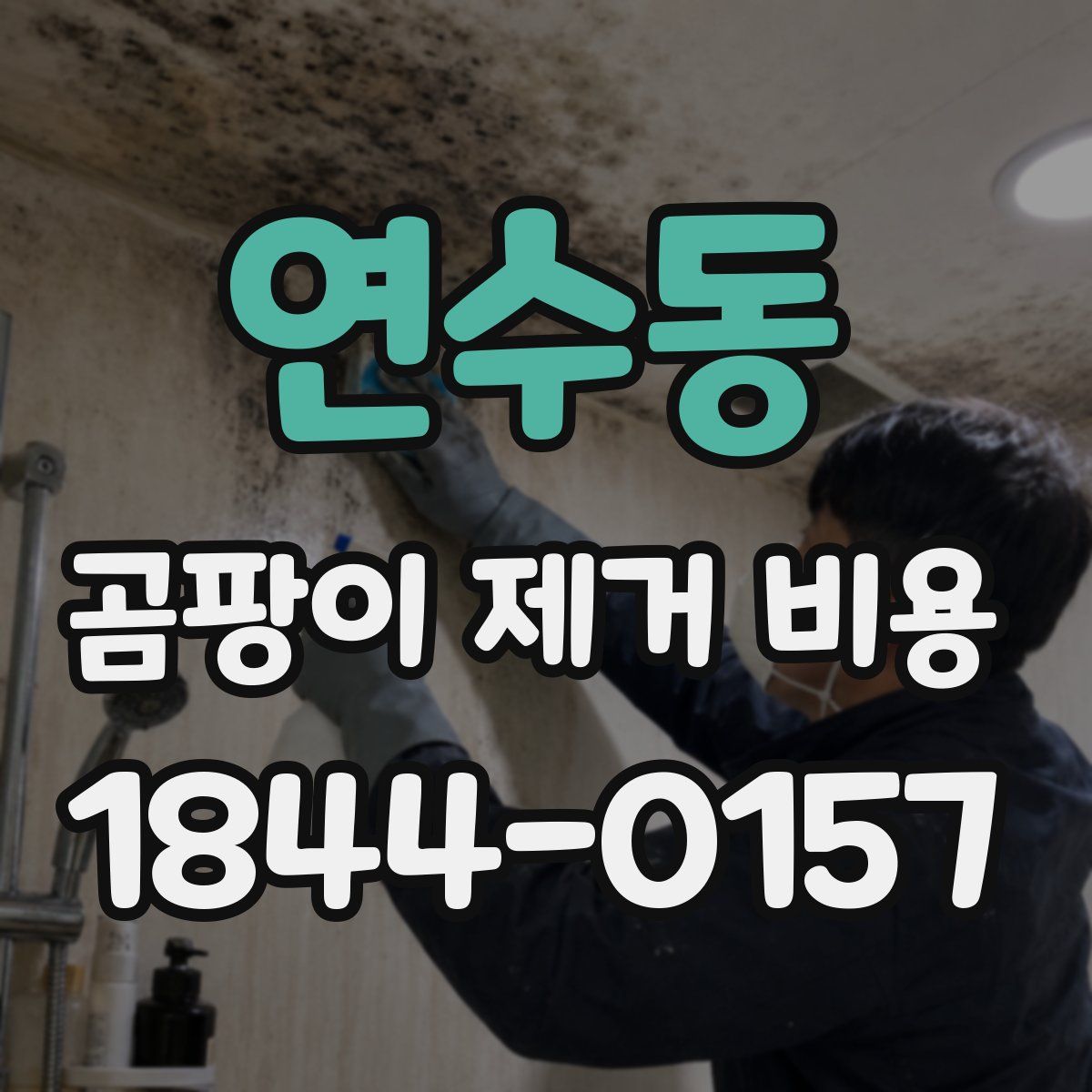 연수동 곰팡이 제거 비용