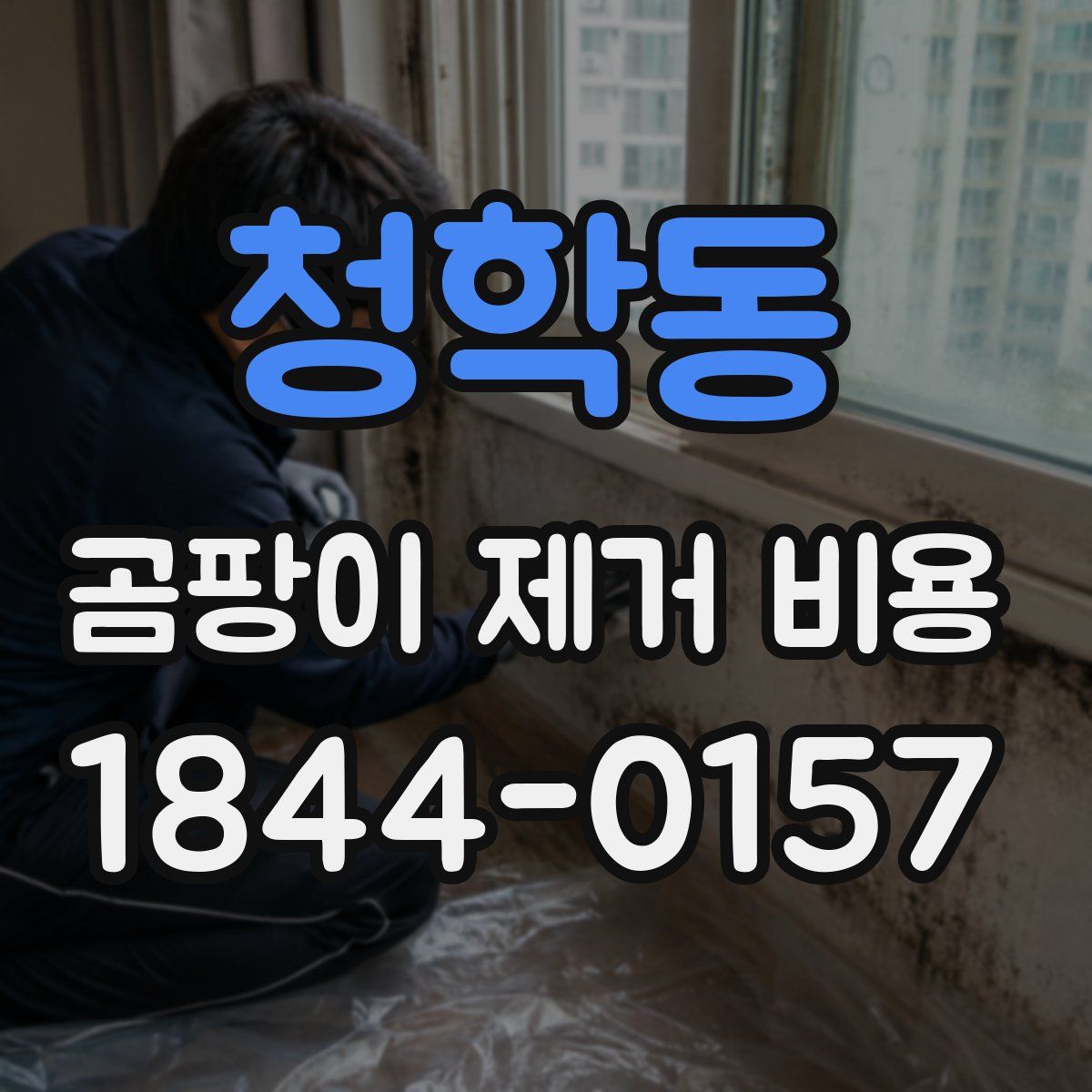 청학동 곰팡이 제거 비용